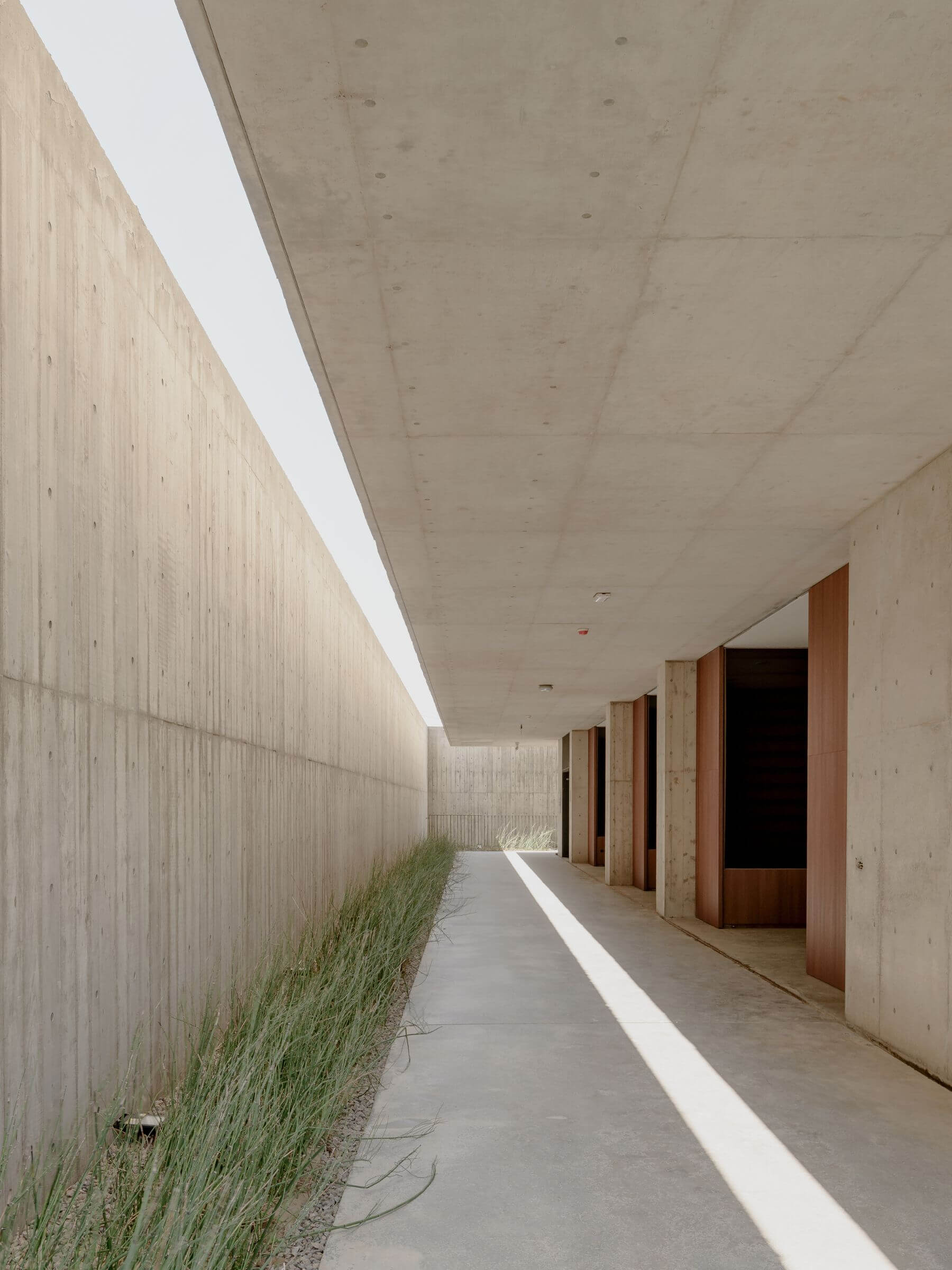 讓光、空氣等自然萬象進入建築，以永恆之丘的設計觸發人們重新思考生死之間的距離。 （圖片／十彥建築師事務所）