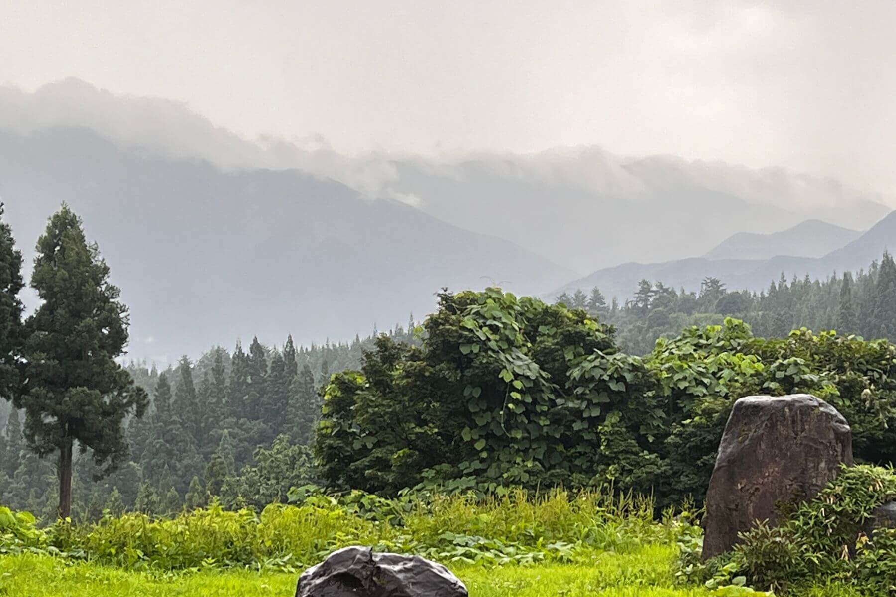 里山十帖房外的山色風光。