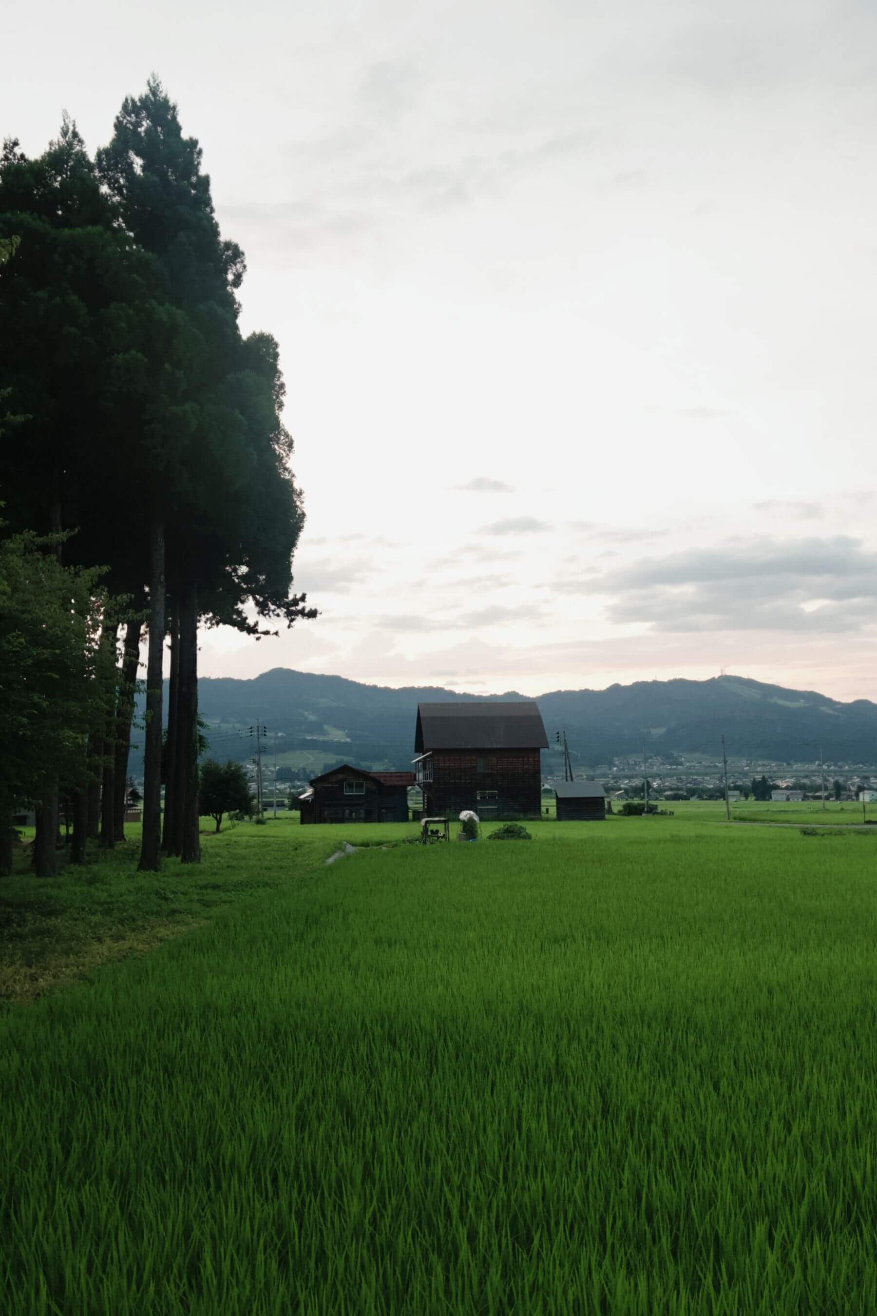 KIROKU的早晨與附近的農家。