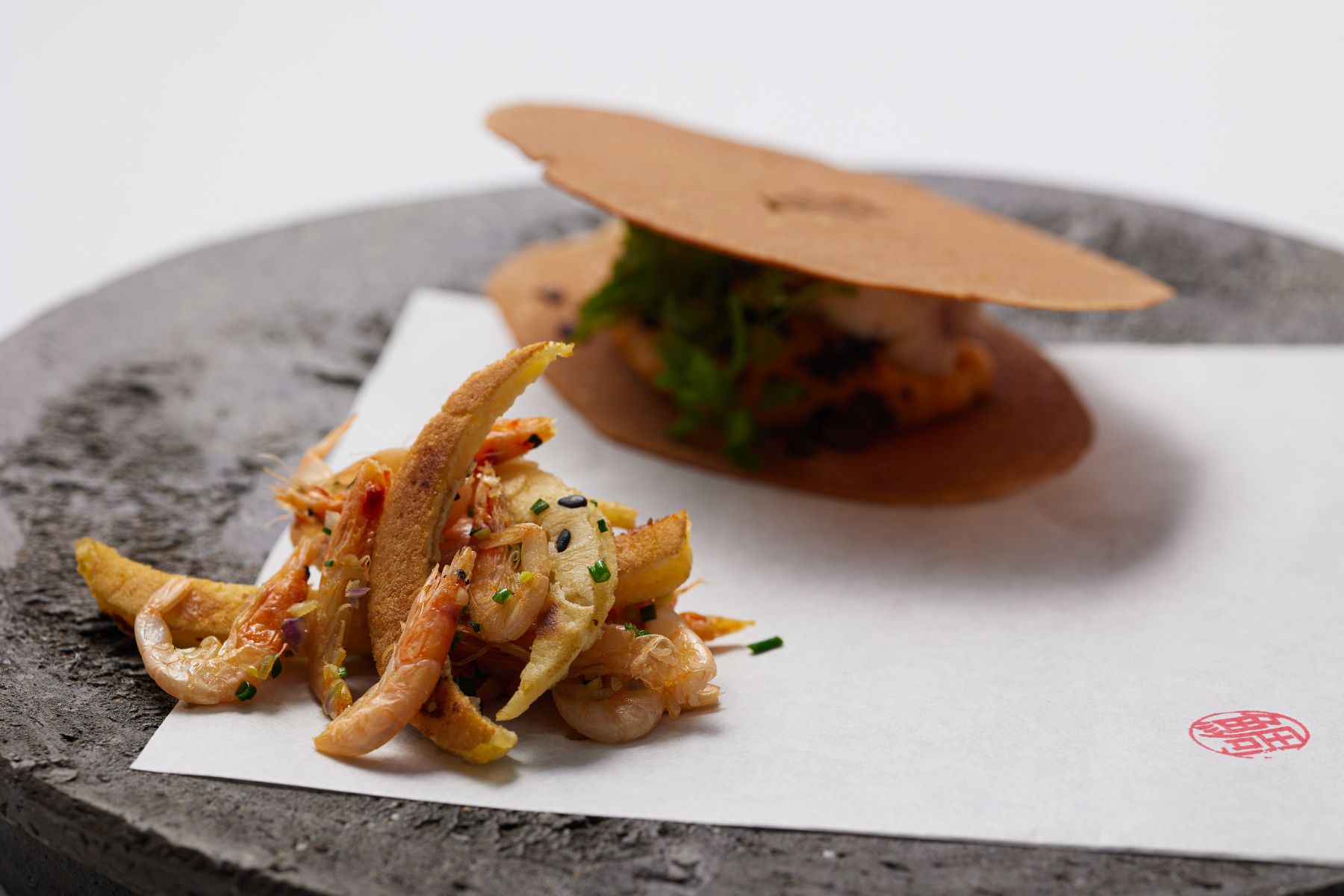 【TAI・鯛】－南部町／根市 拓実