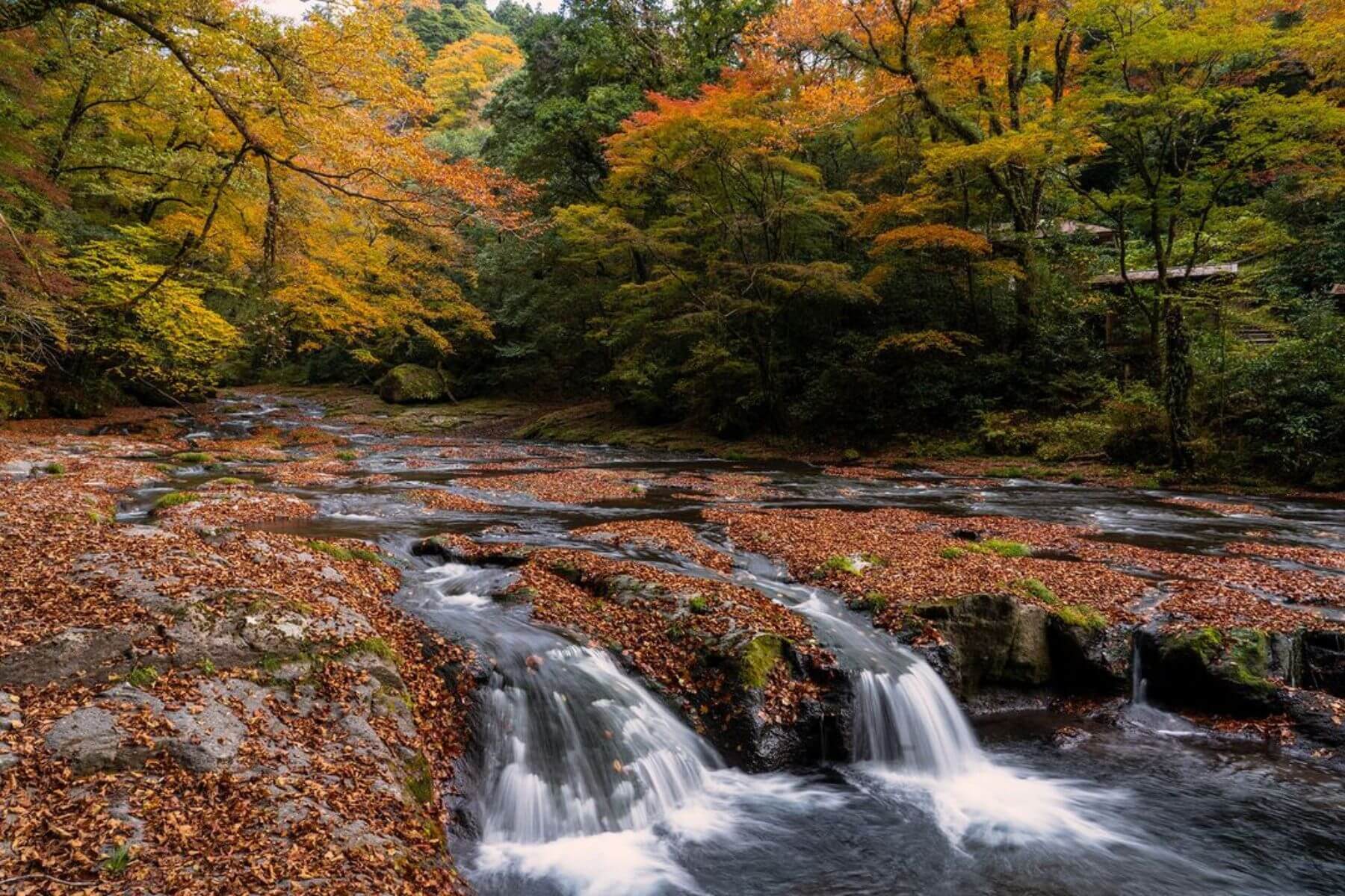 圖／菊池溪谷的秋日美景