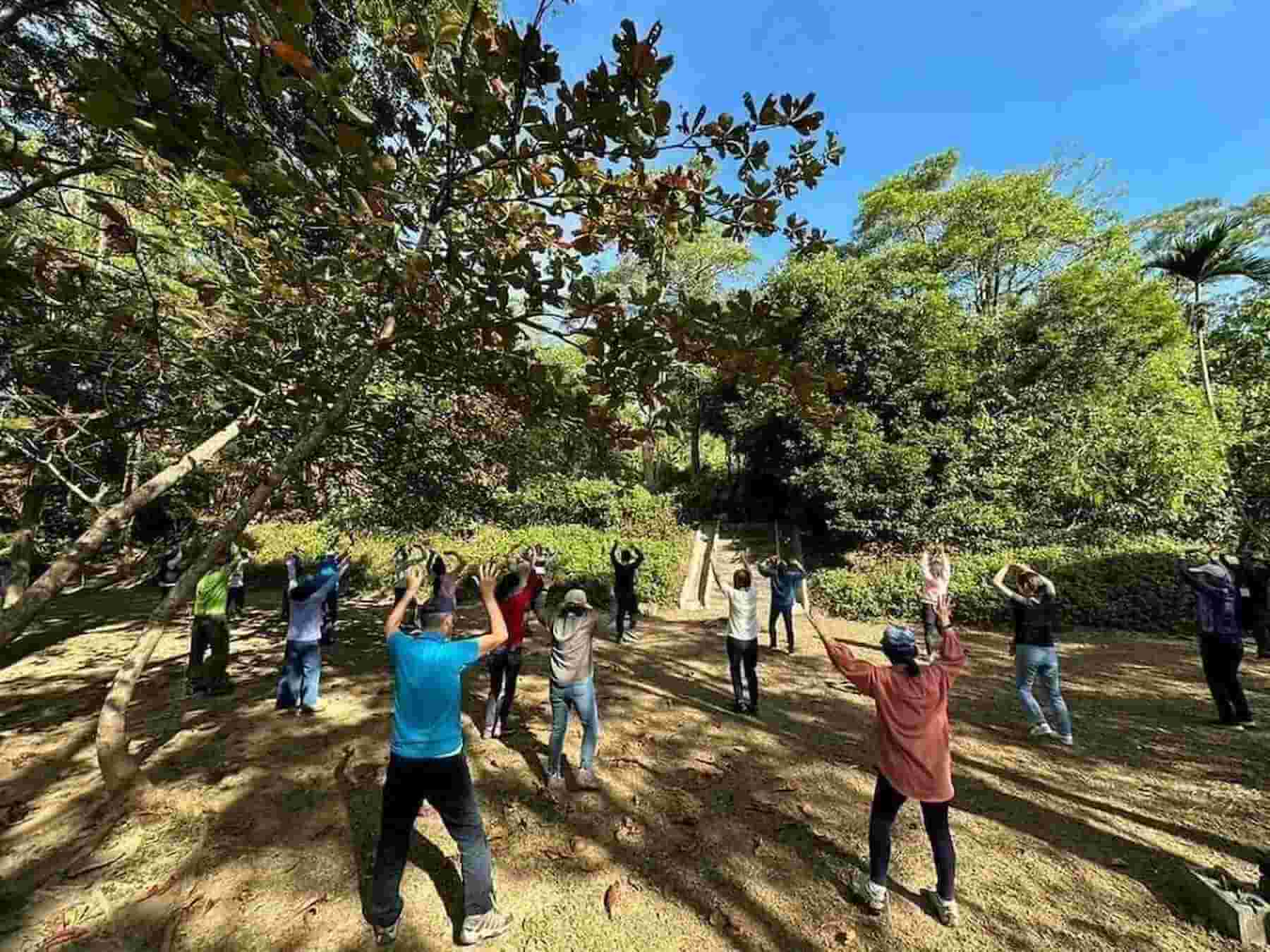 林業及自然保育署森林療癒師帶領森林療癒活動。（圖／林業保育署）