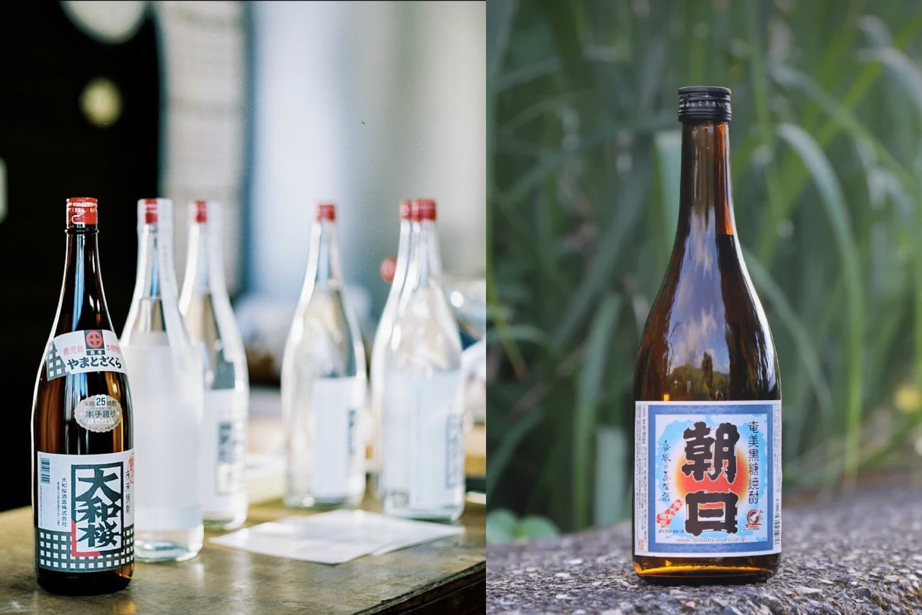 大和櫻酒造、朝日酒造