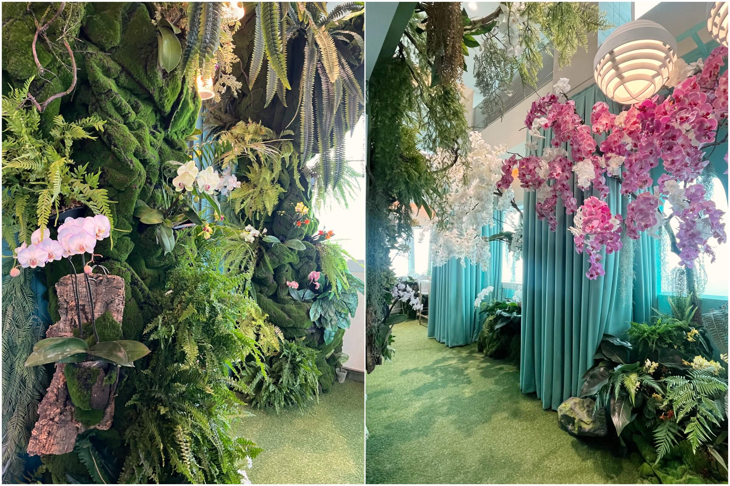 《蕨蘭之美》特展集結台灣「蘭花之島」與「蕨類王國」的自然優勢，結合凌宗湧的美學策展與植物專業顧問洪信介的生態觀點，讓蕨類與蘭花在雲端高度中展現靜謐而堅韌的生命姿態。