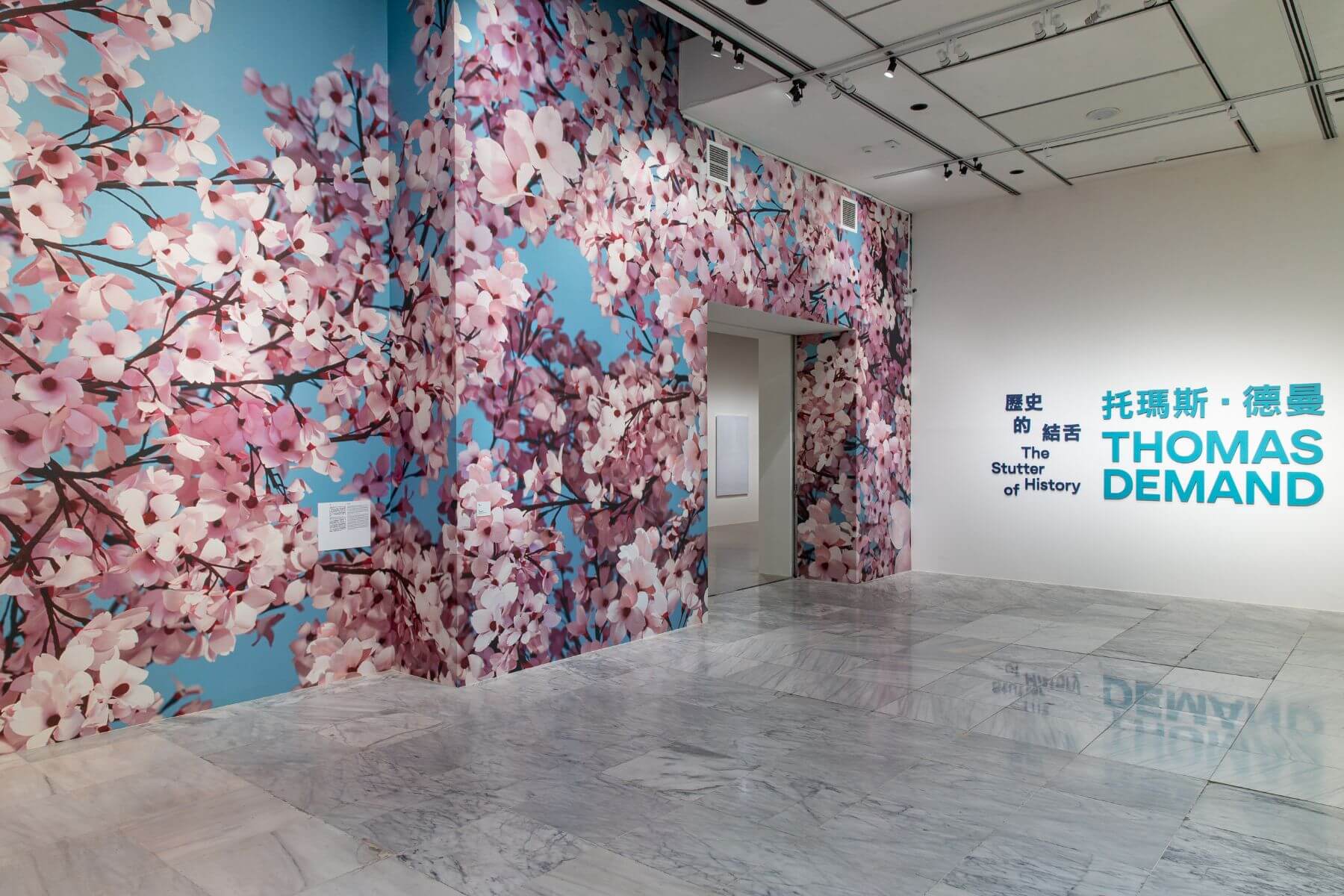 德曼用紙製作出此次展間出入口牆面的壁紙攝影作品《花見》(2014),為觀者打造沉浸式環境體驗。(圖/臺北市立美術館提供)
