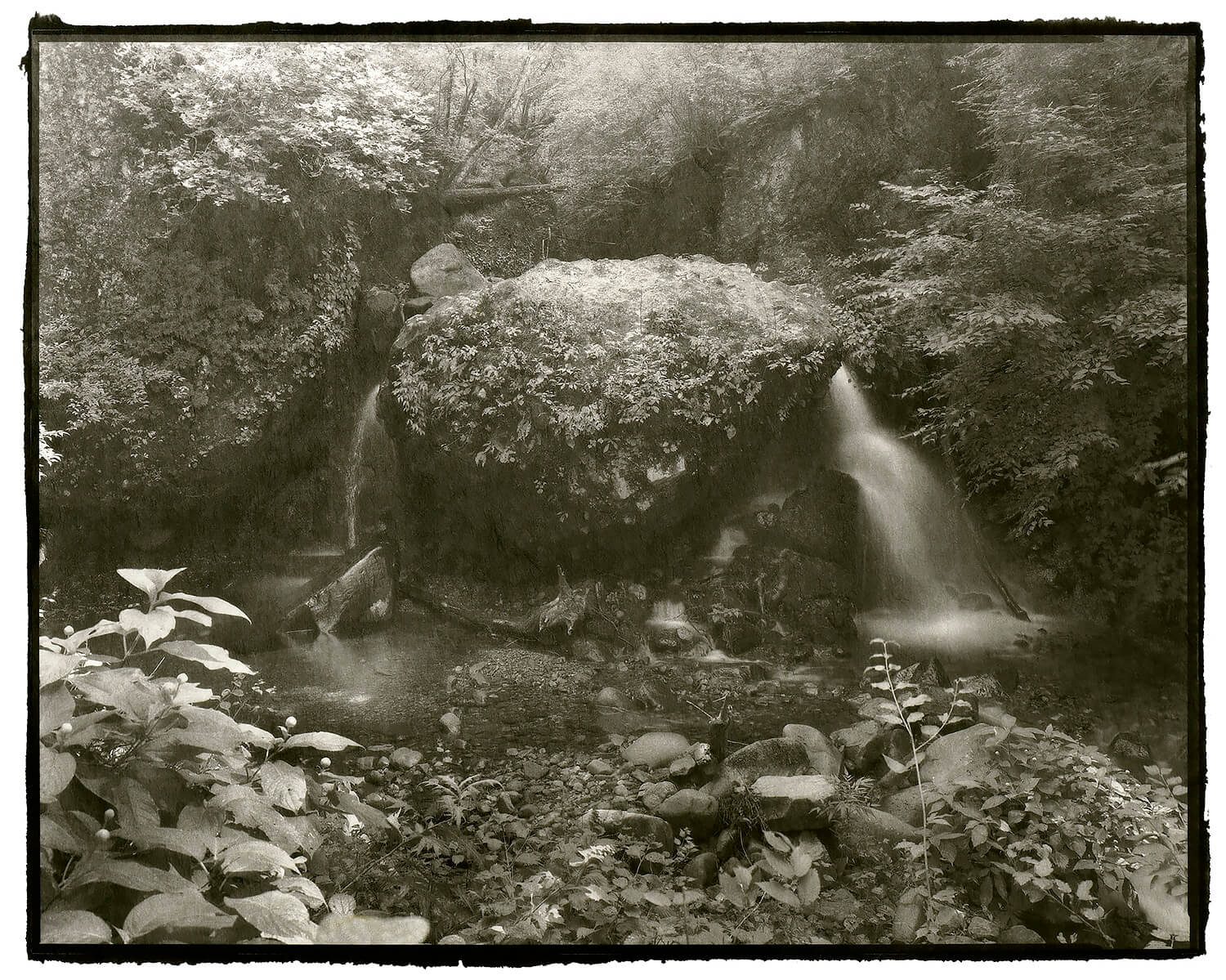 小林伸幸的作品《幽玄》，採用日本和紙作為作品載體，運用傳統的「鉑金印相」技法所創作而成。