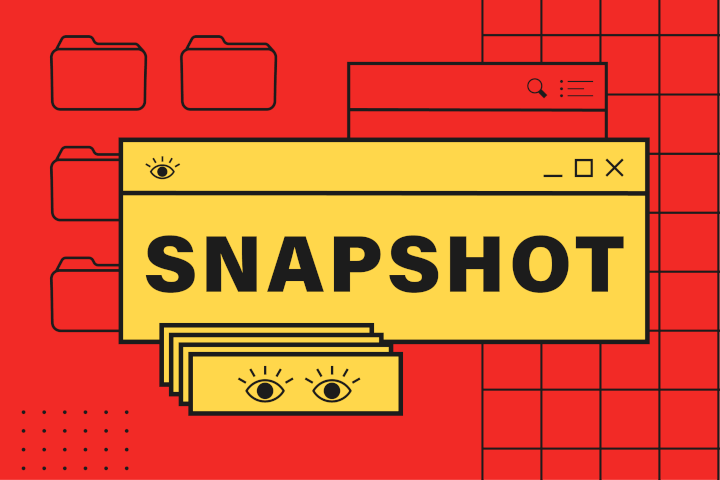 Snapshot