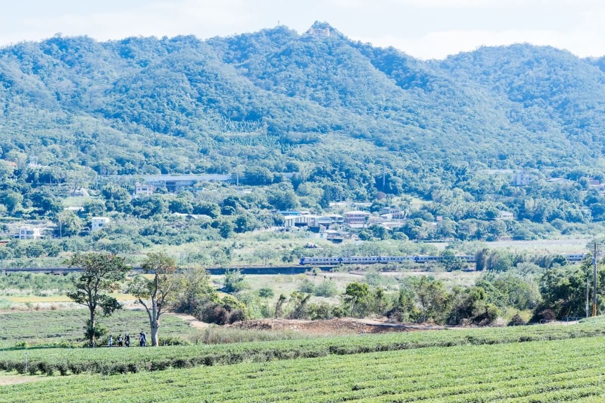 苗栗山林美學之旅：看見地方創生與文化觀光潛力