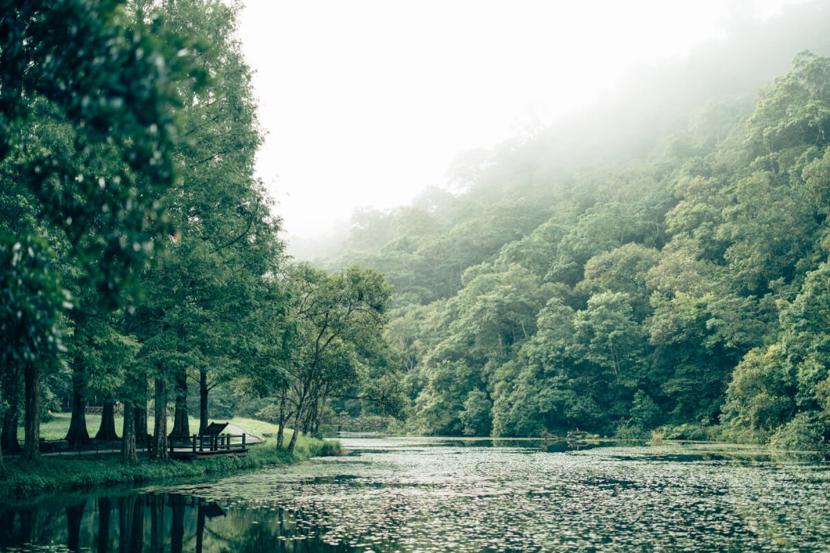 福山植物園：隱藏在山林祕境的生態方舟