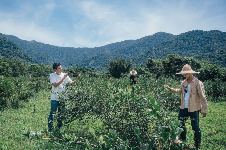 改變，土地都知道：茶籽堂的朝陽社區復興之路