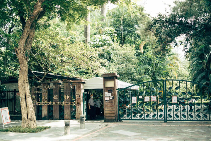 國家植物園方舟計畫:與時間賽跑,為瀕危植物建造綠色方舟