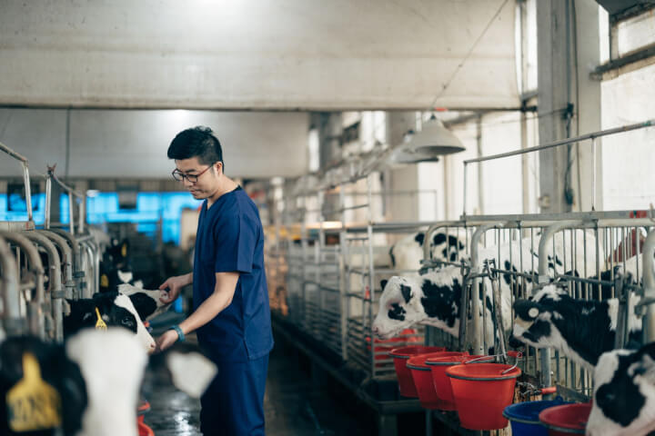 台灣酪農的白色革命——「鮮乳坊」要讓你喝出牛奶裡的風土