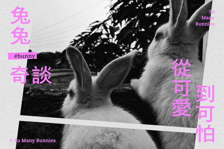 兔兔奇談：從可愛到可怕