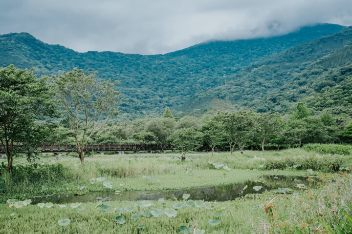 馬太鞍欣綠農園：濕地上的文化永續之旅
