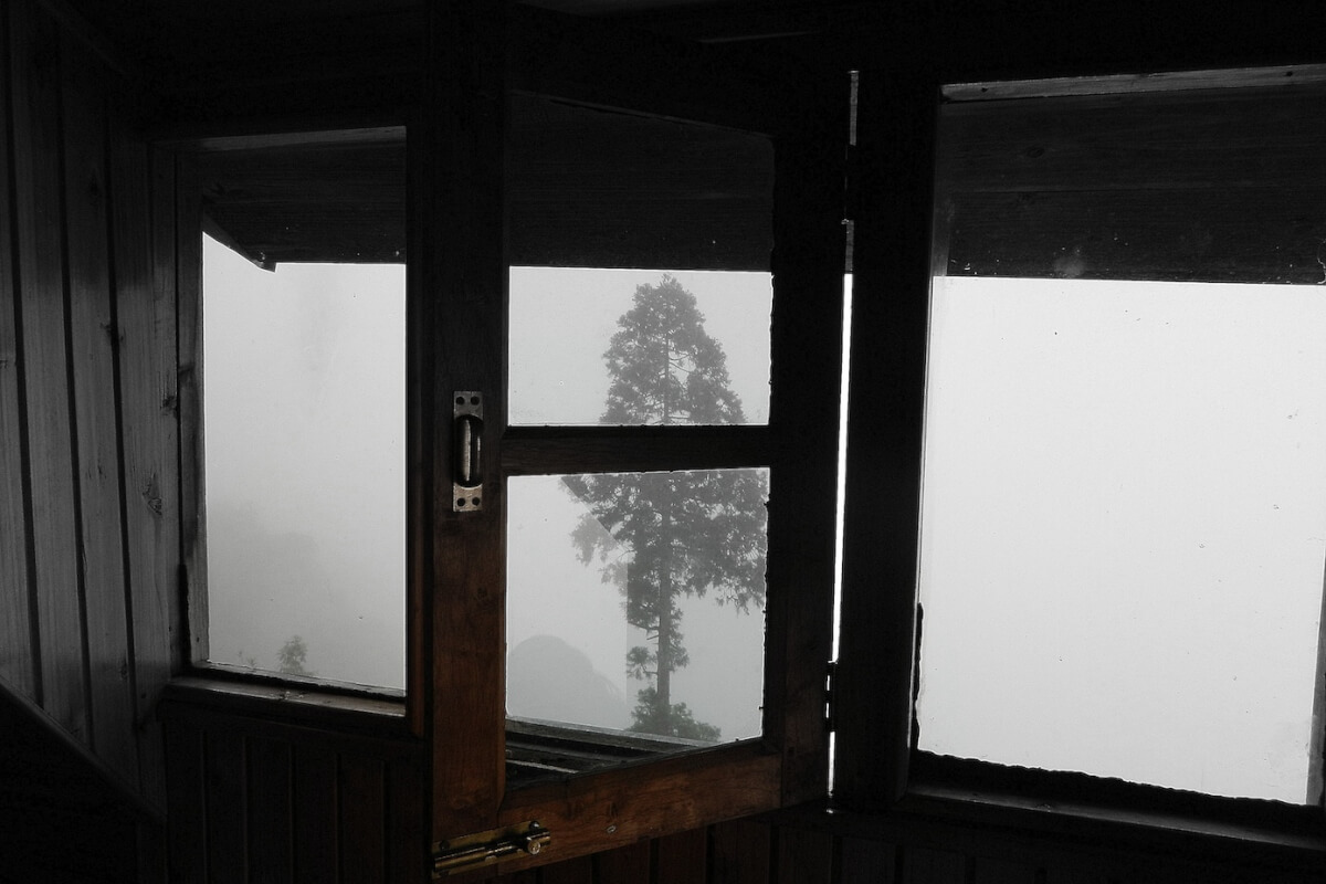 邱怡青《蜂鳥的火種》長篇小說，走進「亞斯伯格」與「思覺失調」的精神世界- VERSE