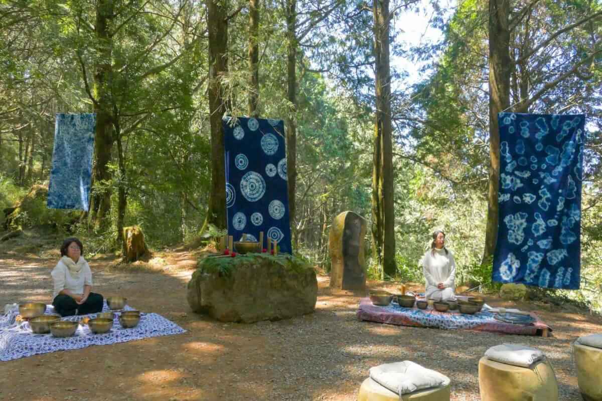 森林療癒正風起 林華慶：向國外取經，爭取成為健保處方