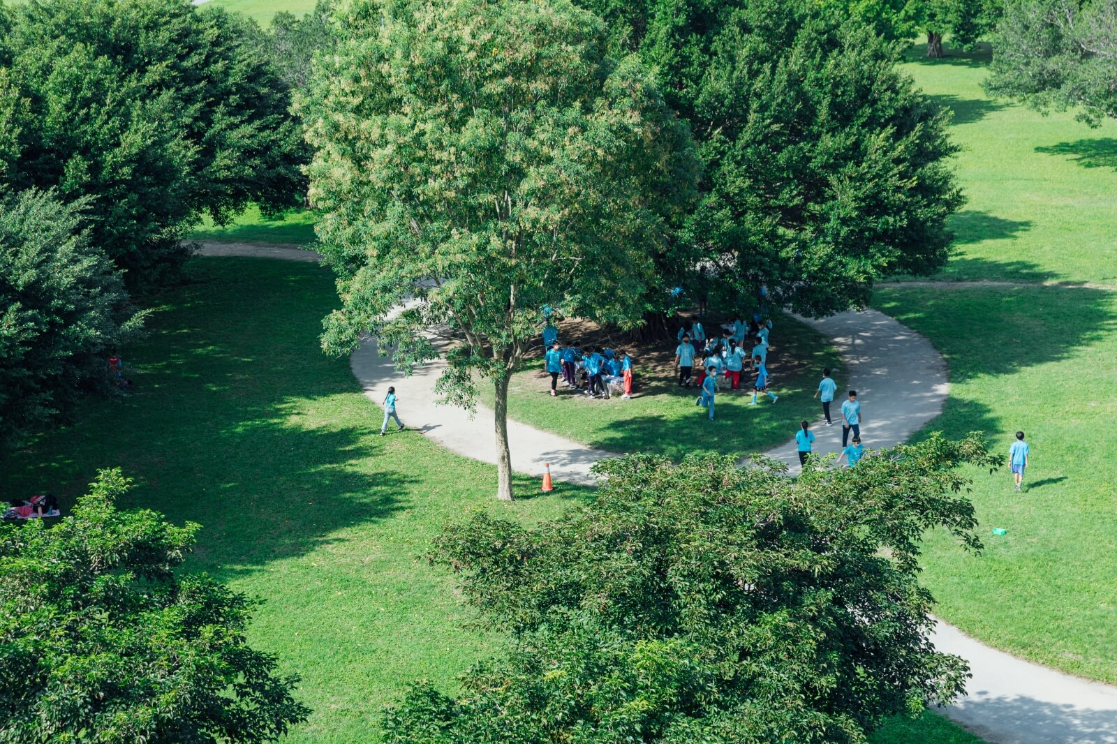 三重特色公園／全家人的遊樂場，親子探索城市綠地的世界觀