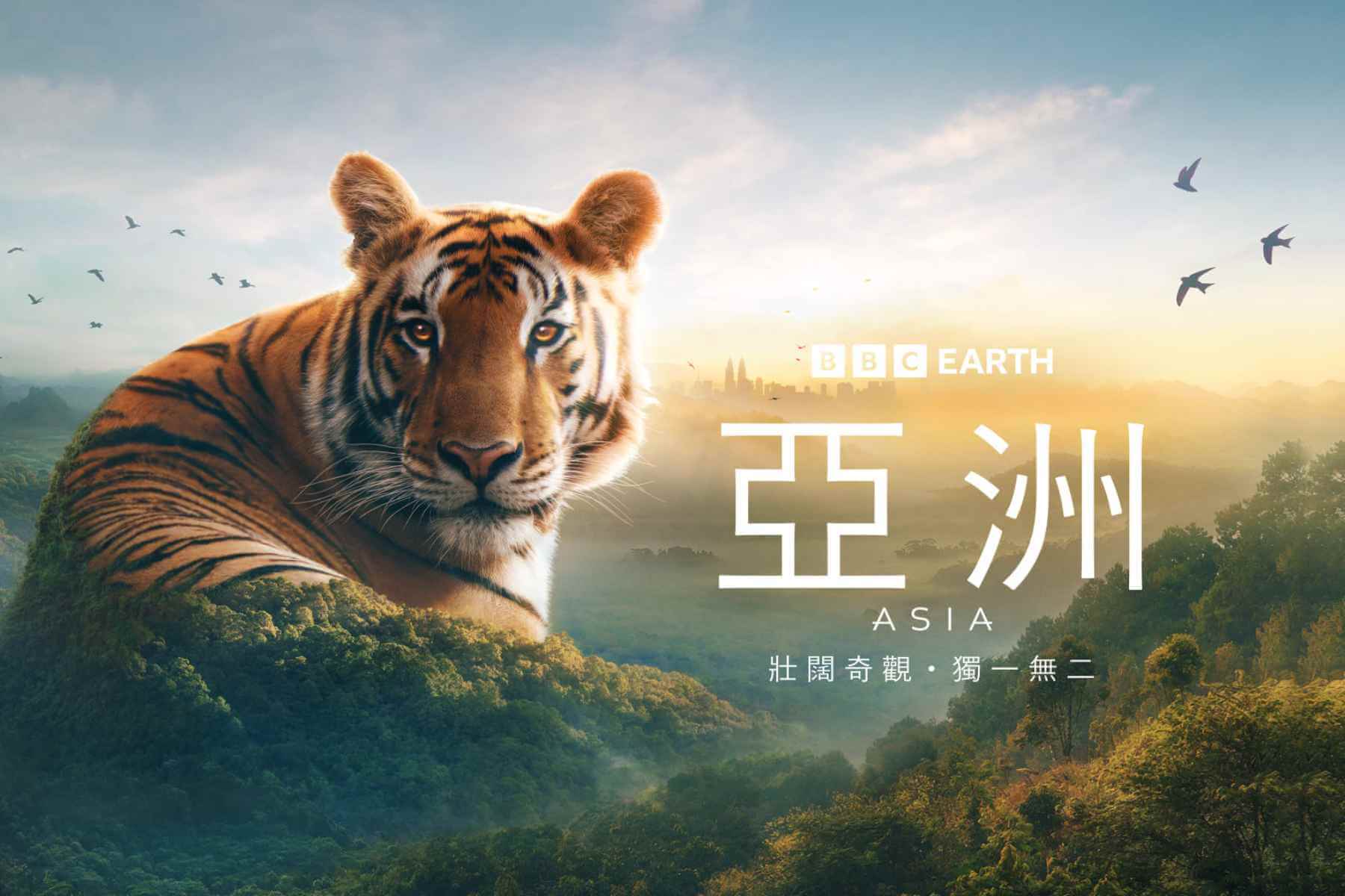 BBC Earth耗時四年拍攝《亞洲》自然紀錄片，從西藏高原、喜馬拉雅山到台北市，亞洲生態精彩一次看