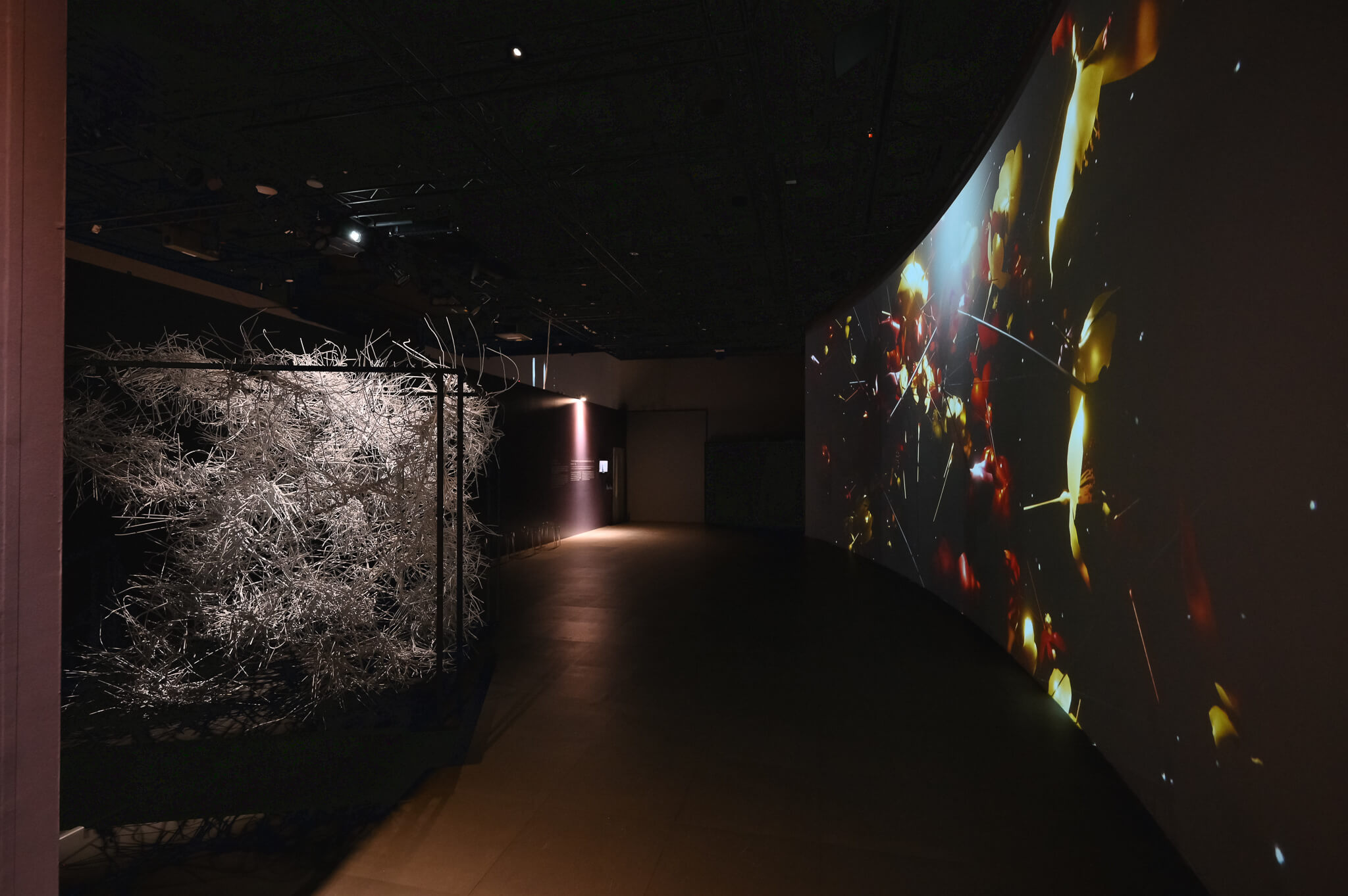 打造文化科技島的夢想：「科文双融集團」開創新型態展演