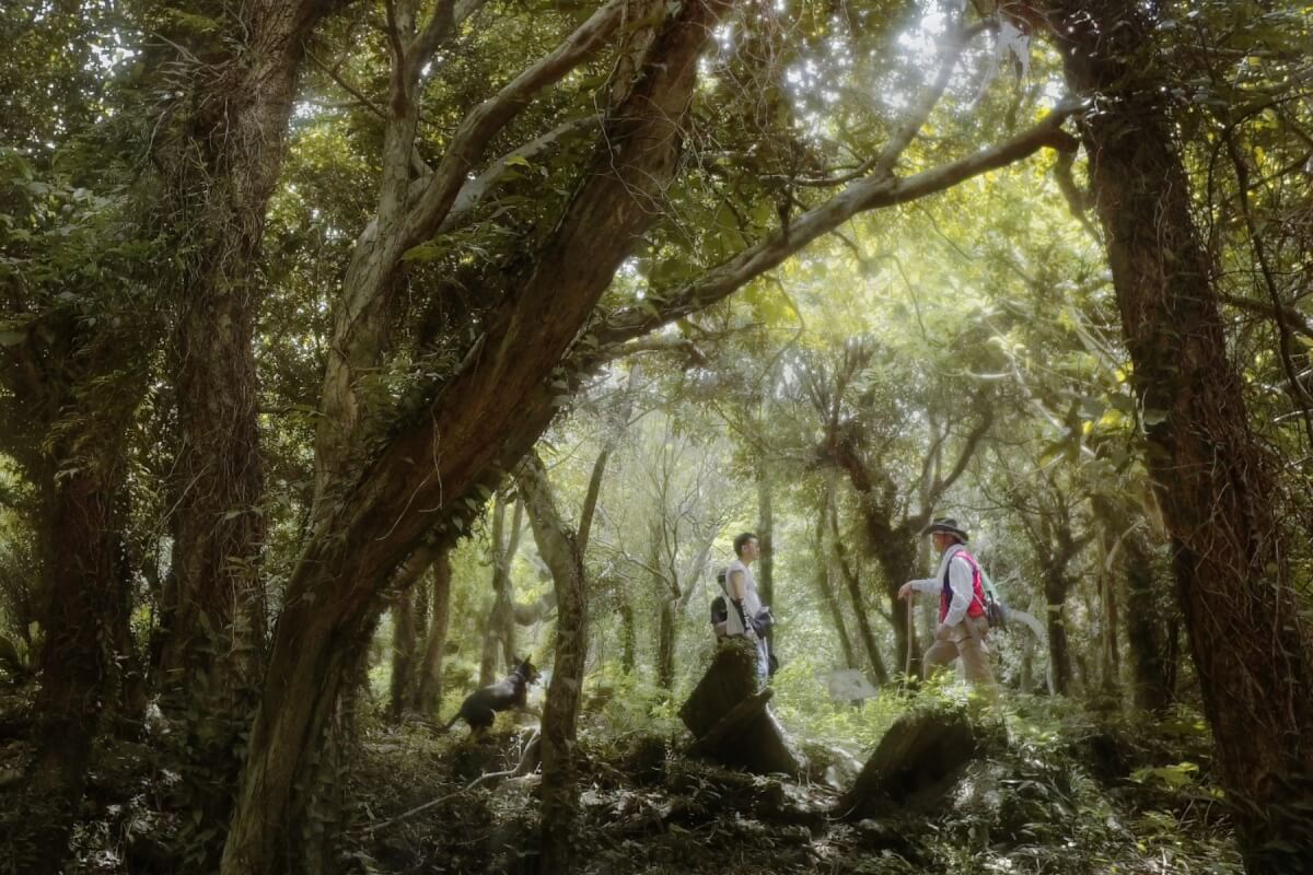 從《海殤—牡丹與琉球悲歌》尋索一段被隱沒的台灣史