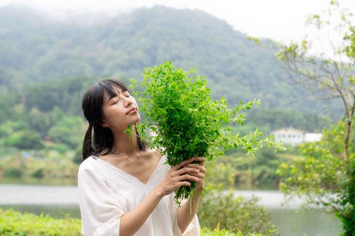 台灣原生植物「犬香薷」的秘密：肯園揭開土地療癒之道，親近宜蘭雙連埤濕地