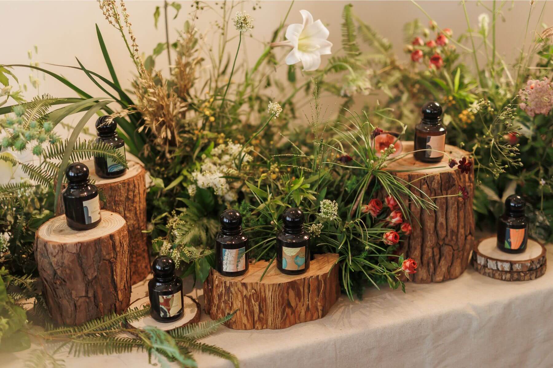 為夜晚而生的香氛詩集！阿蒂仙《La Botanique 秘境植物園系列》，充滿奇幻的遐想