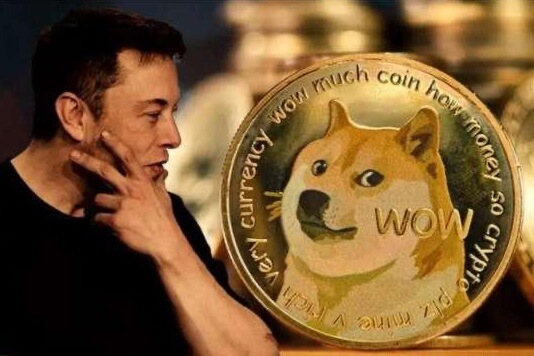 狗狗幣的崛起：當迷因變成黃金