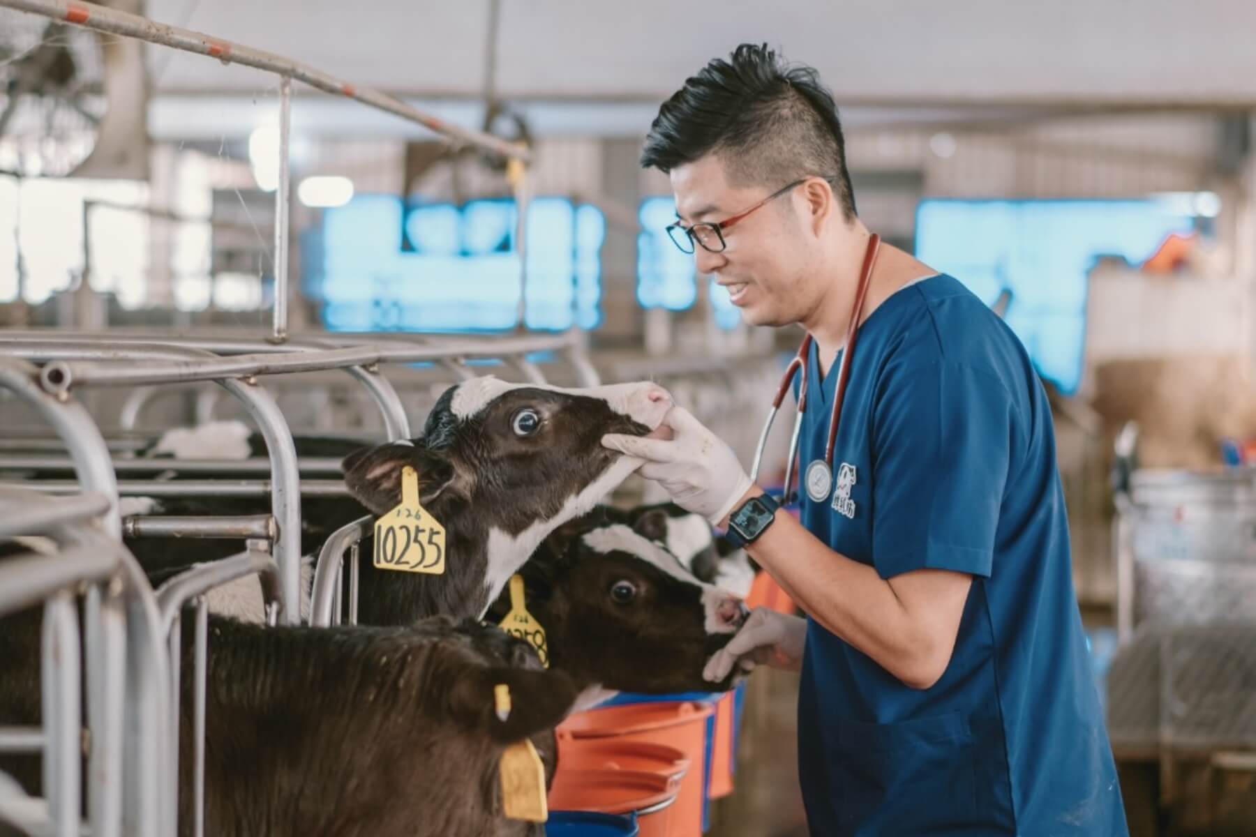 台灣酪農的三支生存箭：面對進口乳零關稅，鮮乳坊創辦人龔建嘉的產業突圍之道