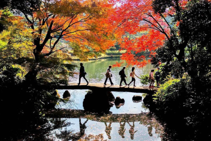 東京賞楓必去3大景點／車站步行10分鐘：六義園、小石川後樂園、奧多摩冰川溪谷全攻略