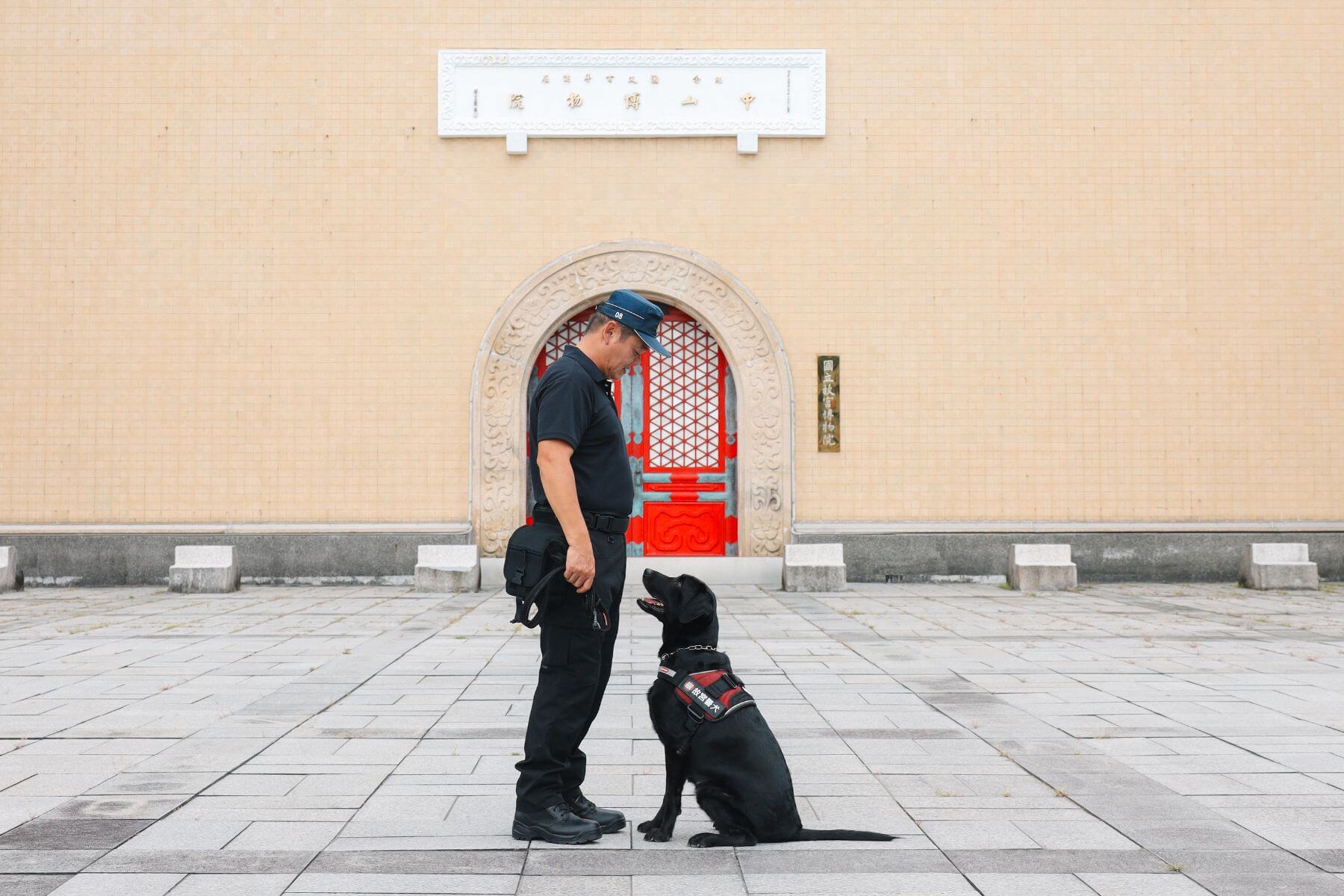 故宮小祕密／警犬隊、美枝龍、金鳳凰....8個你不知道的故宮彩蛋