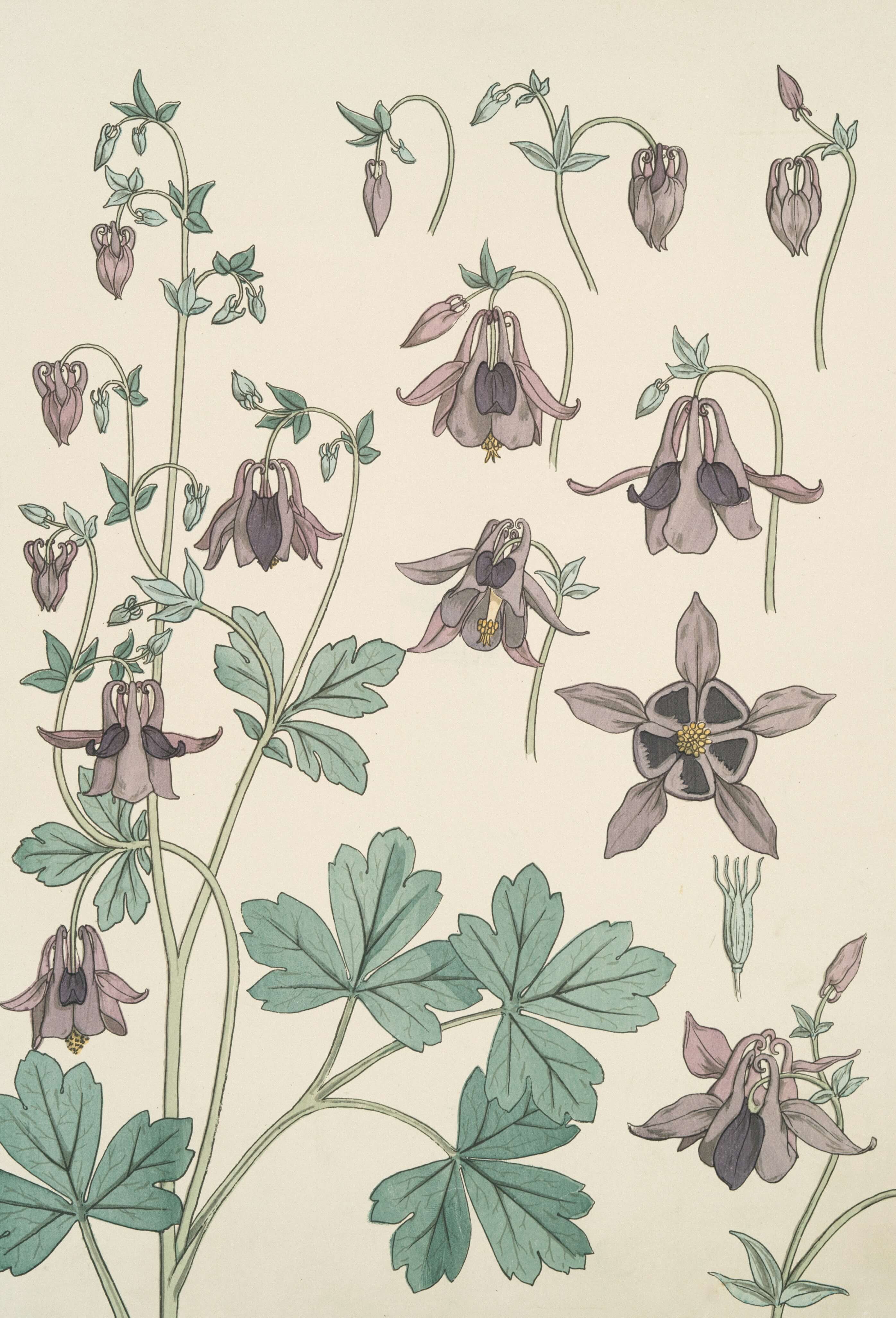 宮本輝新作《草花靜靜的誓言》：以海風與草花的呼吸，書寫生命的懸疑與敬意