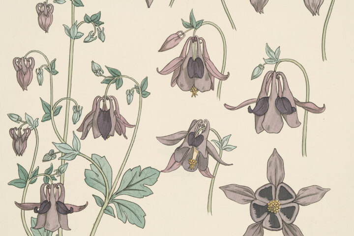 宮本輝新作《草花靜靜的誓言》：以海風與草花的呼吸，書寫生命的懸疑與敬意