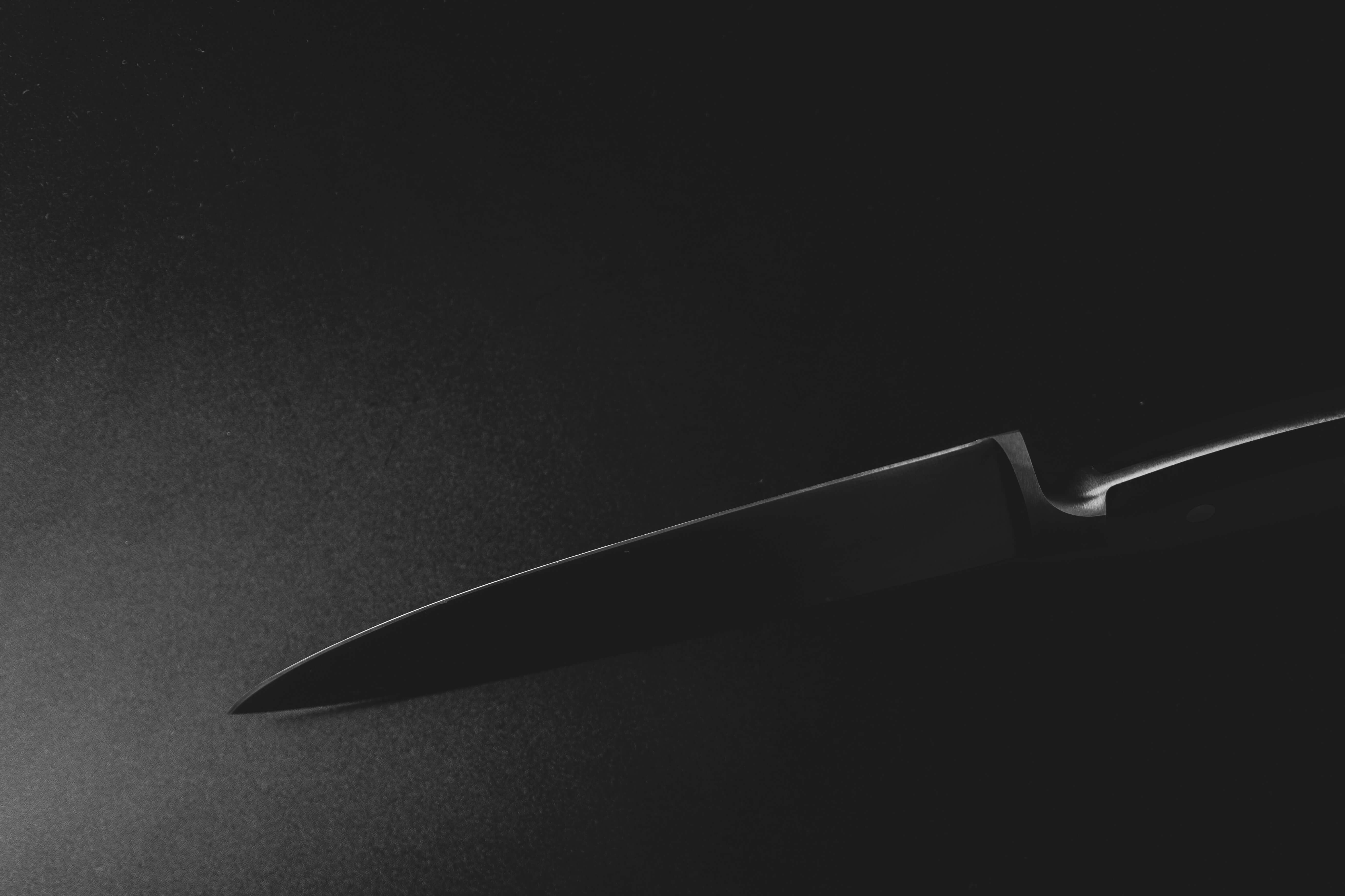 韓國異色文學推薦：從《雞尾酒愛情喪屍》到《茶水間》，3本必讀暗黑小說