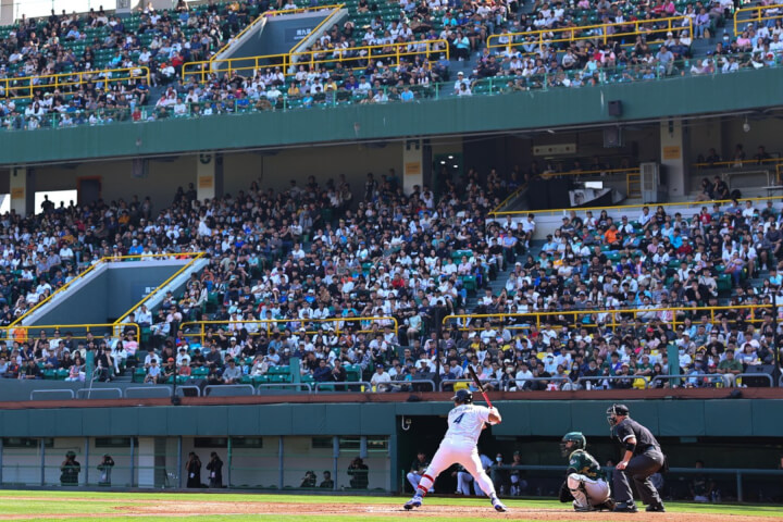 2026年WBC世界棒球經典賽四大看點：中華隊首度延攬混血球員、與日韓同為死亡之組、美國組夢幻隊雪恥、攸關2028奧運資格！