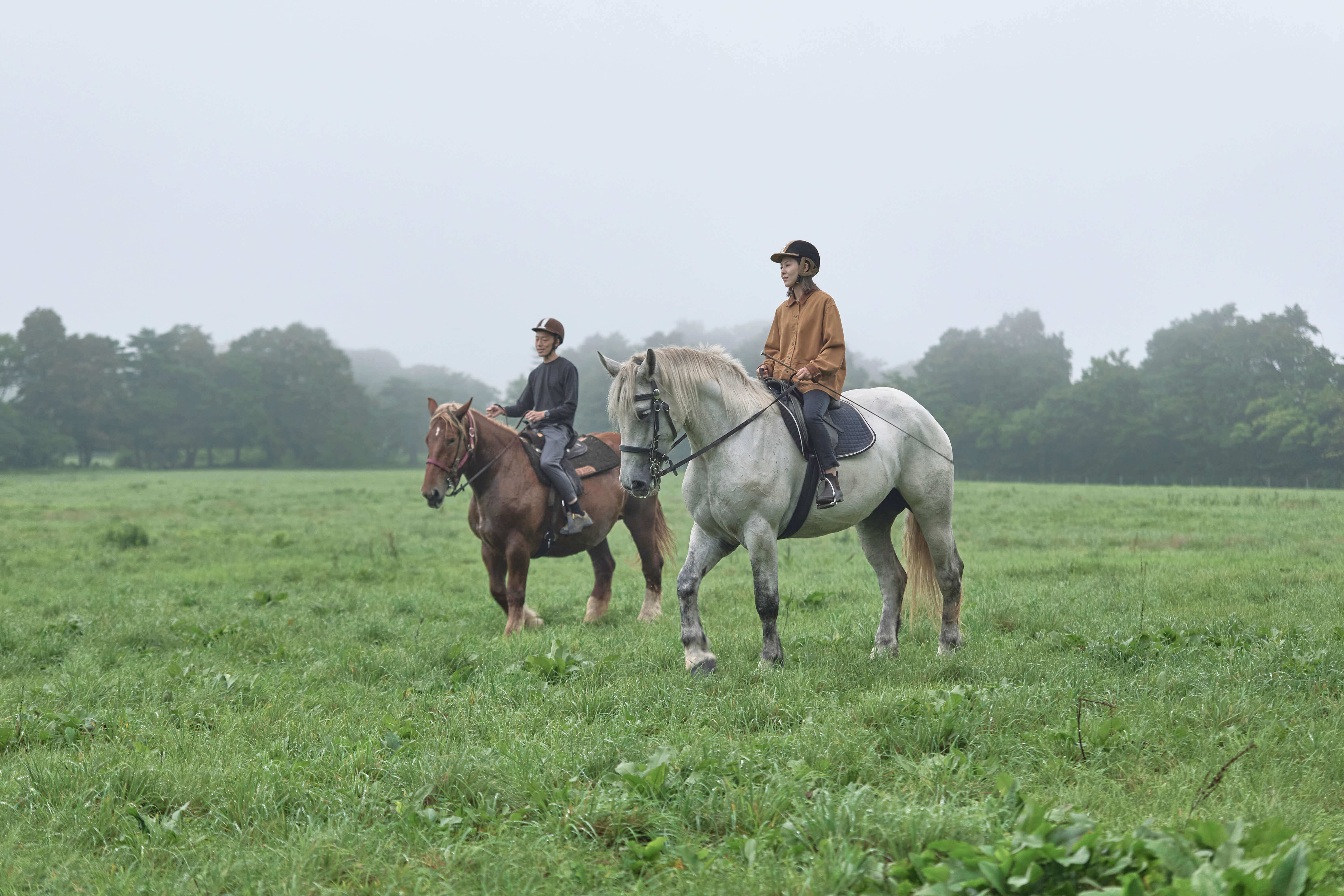 住進 130 年的森林農場！日本新開幕Azuma Farm Koiwai：小岩井農場24間獨棟別墅四季之旅