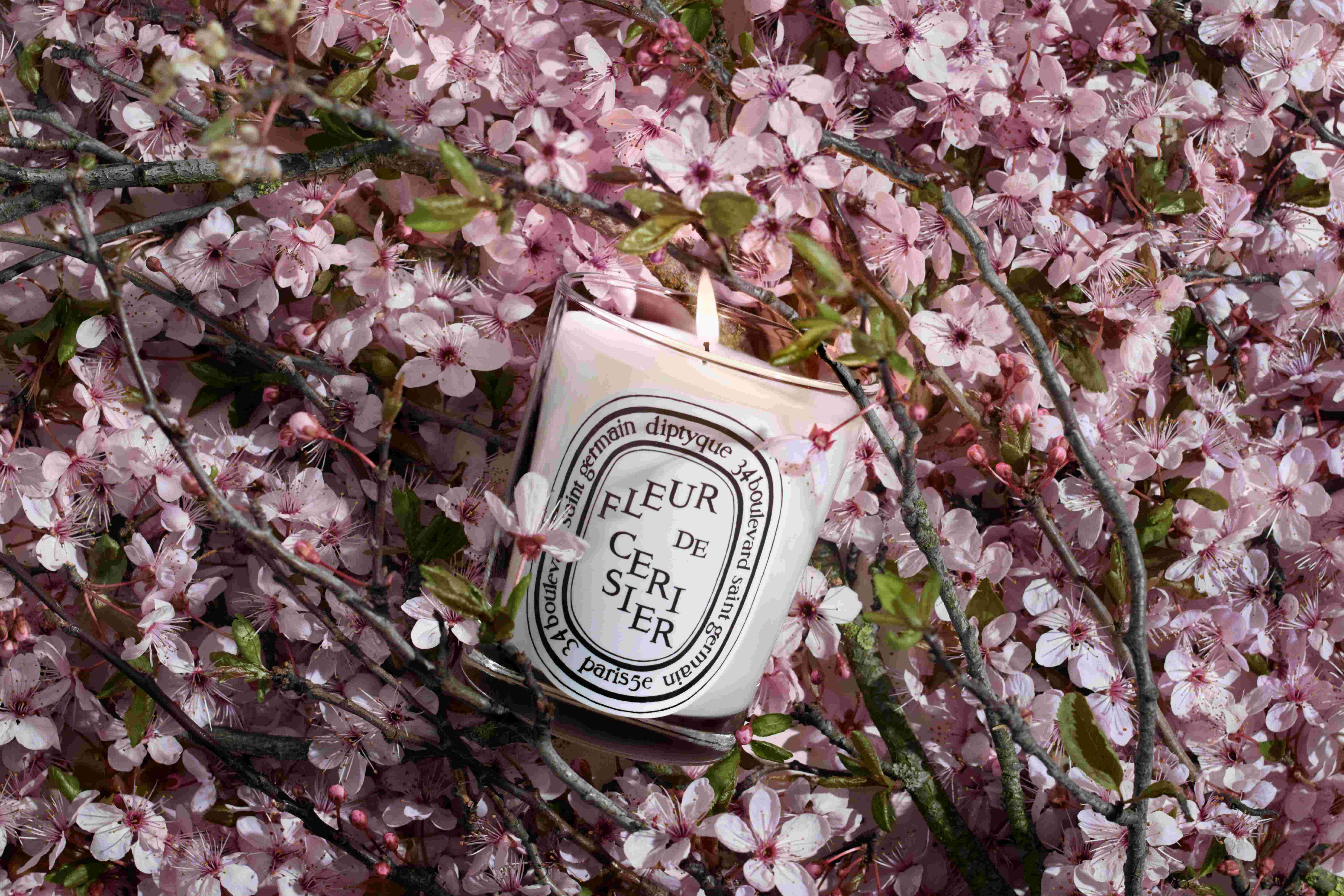 Diptyque「FLEUR DE CERISIER」季節限定版櫻花香氛蠟燭重裝亮相，以粉紅香氣宣告春回大地