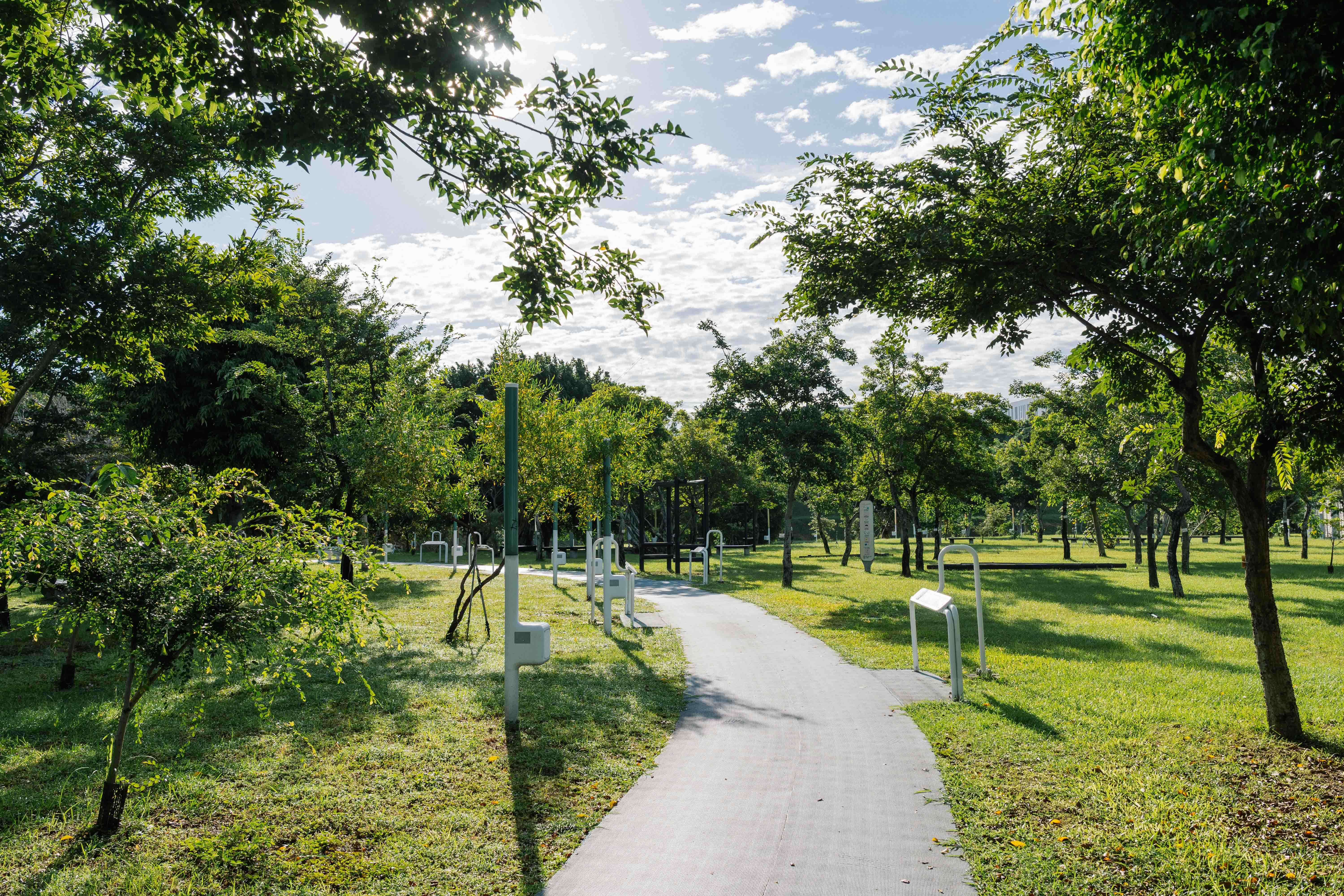 城市之肺：中央公園如何成為臺中與自然共生的生態示範場