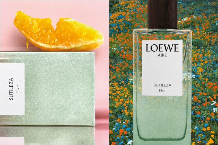 LOEWE第六款濃香精誕生！奇蹟天光將透明花香化為更濃郁的氣味印記