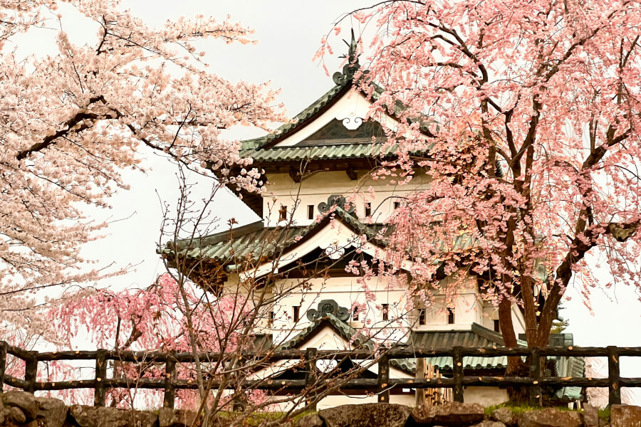 去宮城峽的路上（上集）：工頭堅帶路——橫丁昭和老酒館、深山義式料理，東北深度旅行一日遊