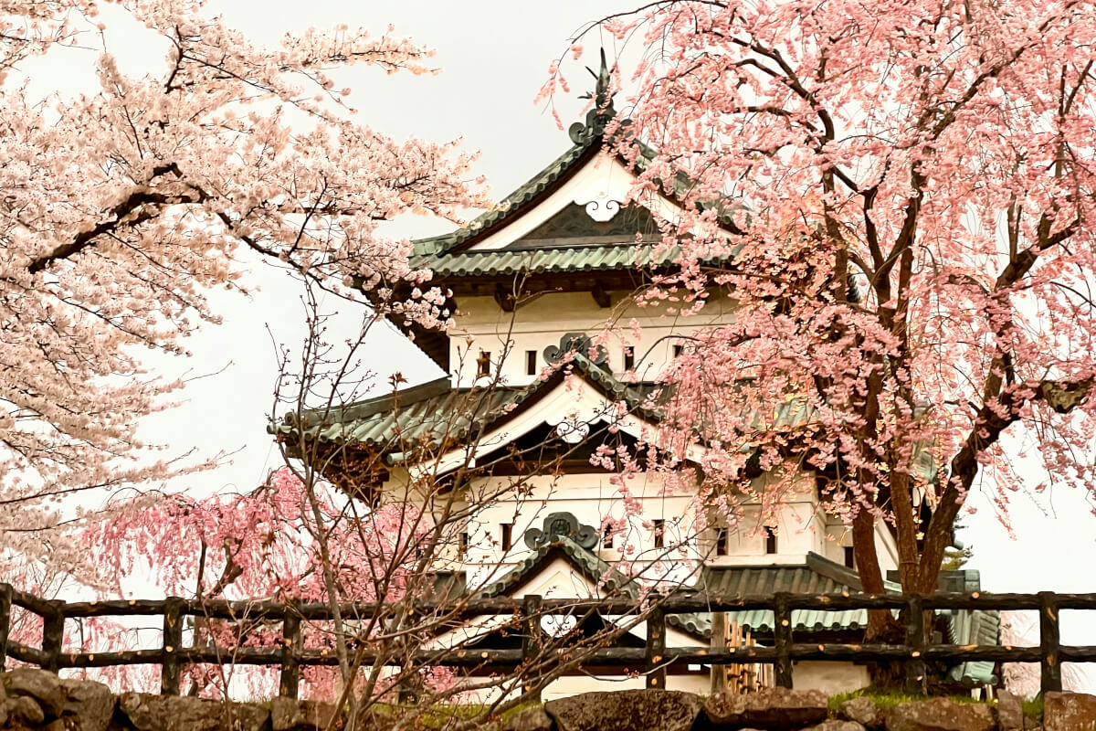 去宮城峽的路上(上集):工頭堅帶路——橫丁昭和老酒館、深山義式料理,東北深度旅行一日遊