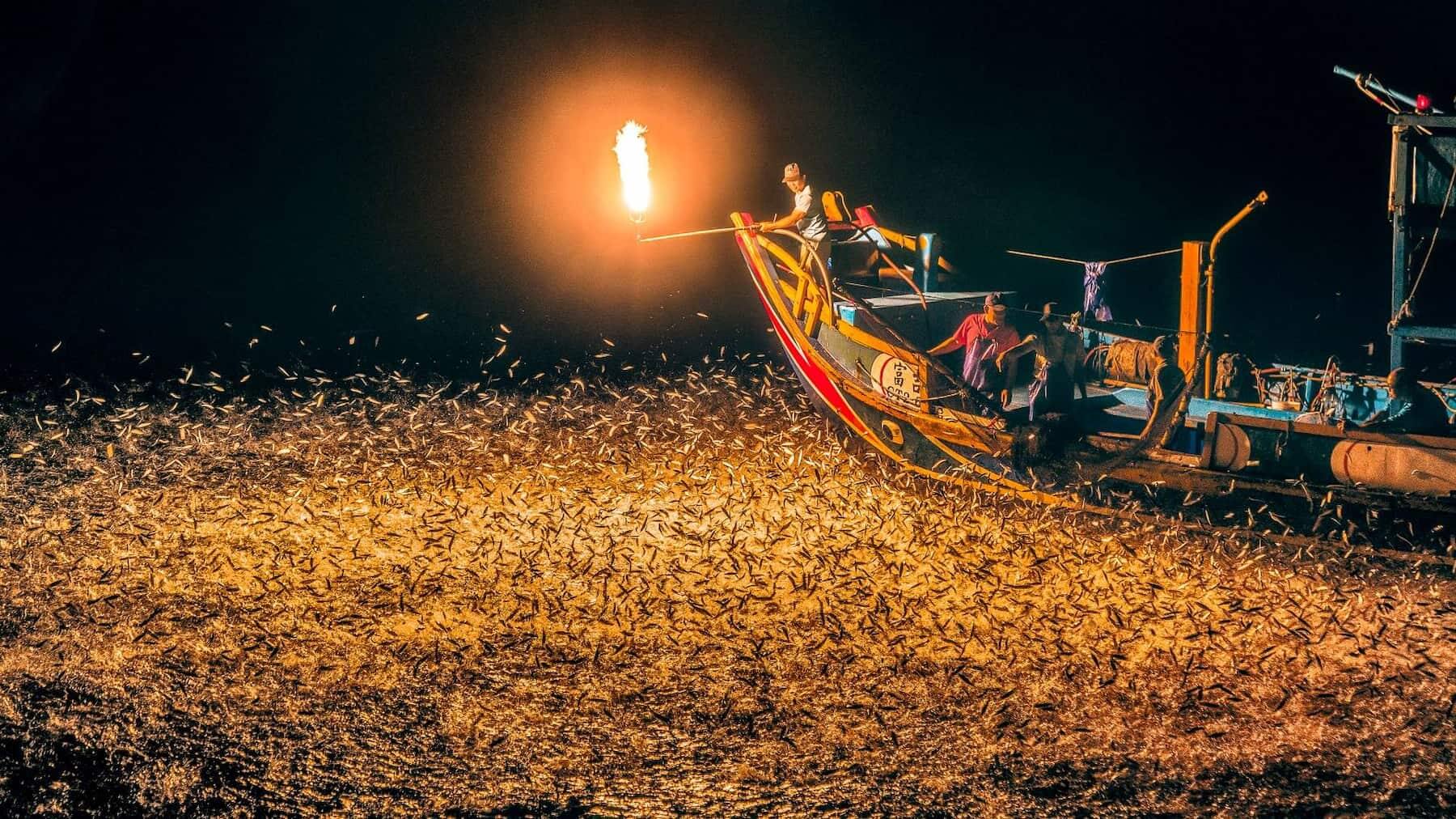 全球唯一！台灣金山「蹦火仔」夜釣體驗：百年磺火點燃海面、萬魚躍水，還能吃現撈小卷米粉