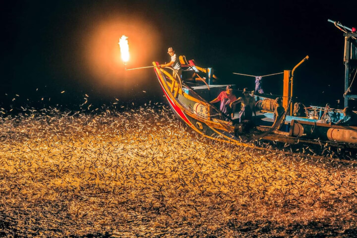 全球唯一！台灣金山「蹦火仔」夜釣體驗：百年磺火點燃海面、萬魚躍水，還能吃現撈小卷米粉