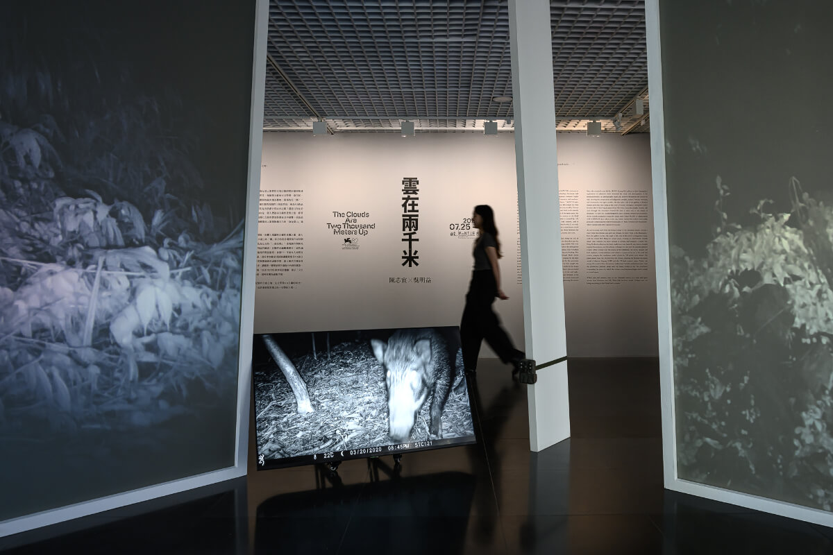 北師美術館「雲在兩千米」7/25開展： 台灣文學走向VR與展覽的跨域敘事