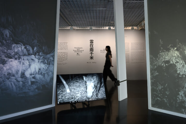 北師美術館「雲在兩千米」7/25開展： 台灣文學走向VR與展覽的跨域敘事