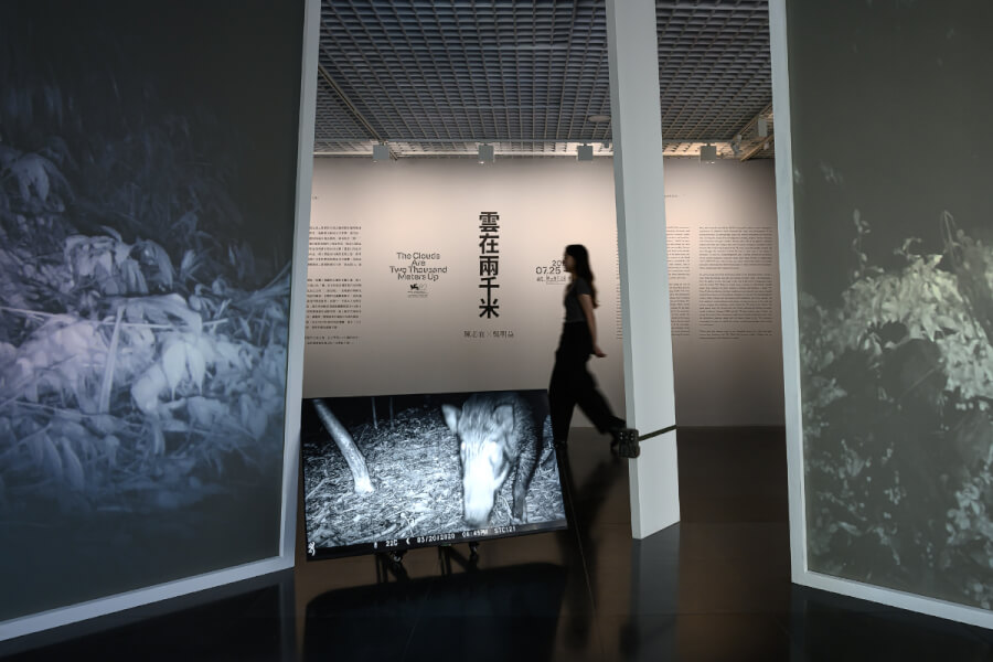 北師美術館「雲在兩千米」7/25開展： 台灣文學走向VR與展覽的跨域敘事