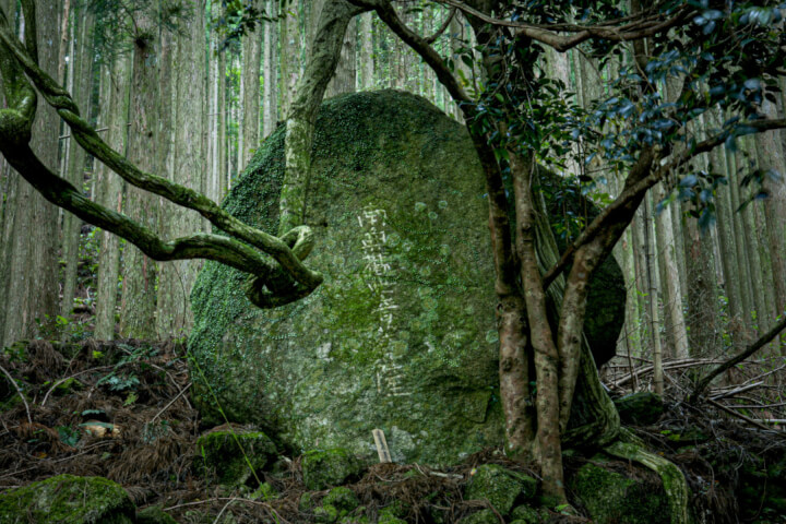 《我在日本熊野古道找回自己》：走路不僅僅是移動，而是一種「成為」的方式