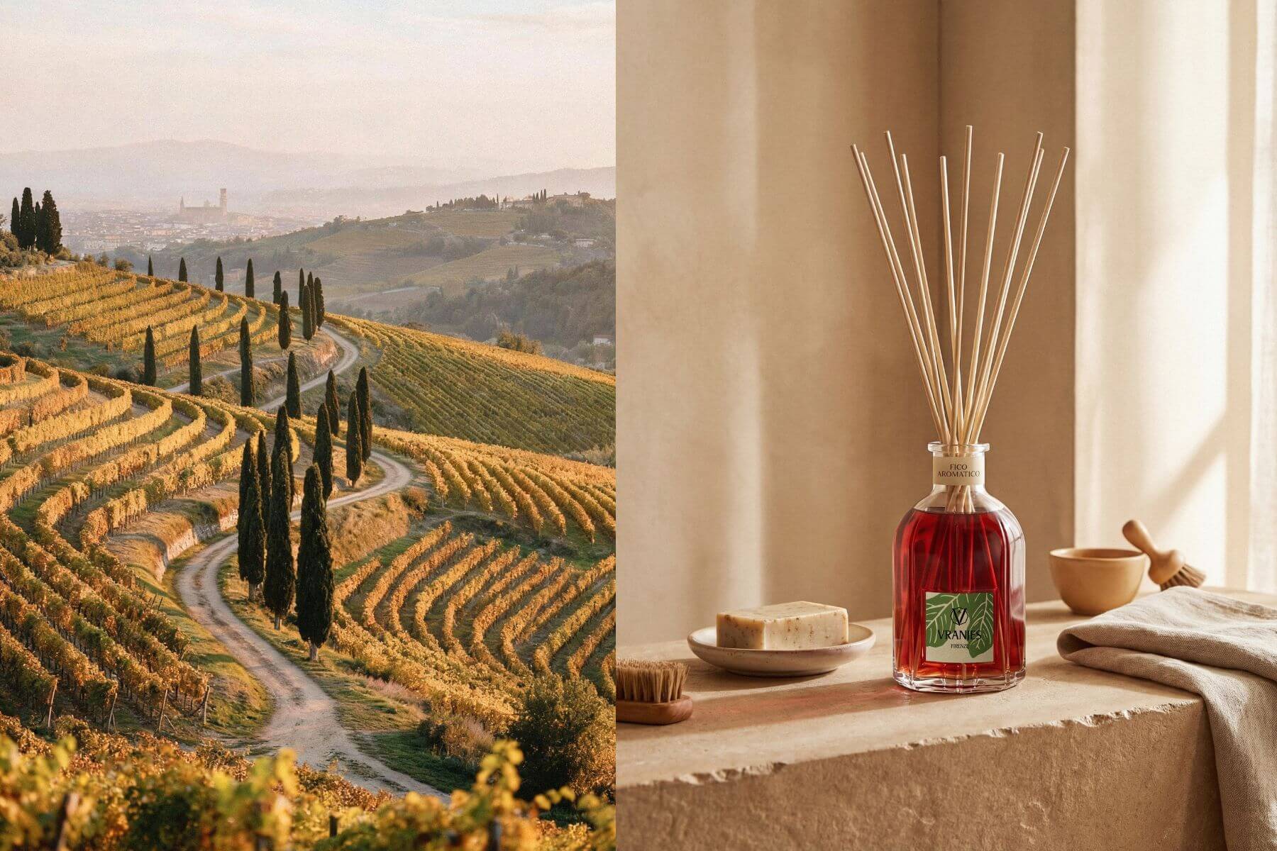 把托斯卡尼的陽光裝進瓶裡：Vranjes Firenze 全新「嫣紅無花果」，如何用香氣與蝕刻工藝重現佛羅倫斯的日常生活？